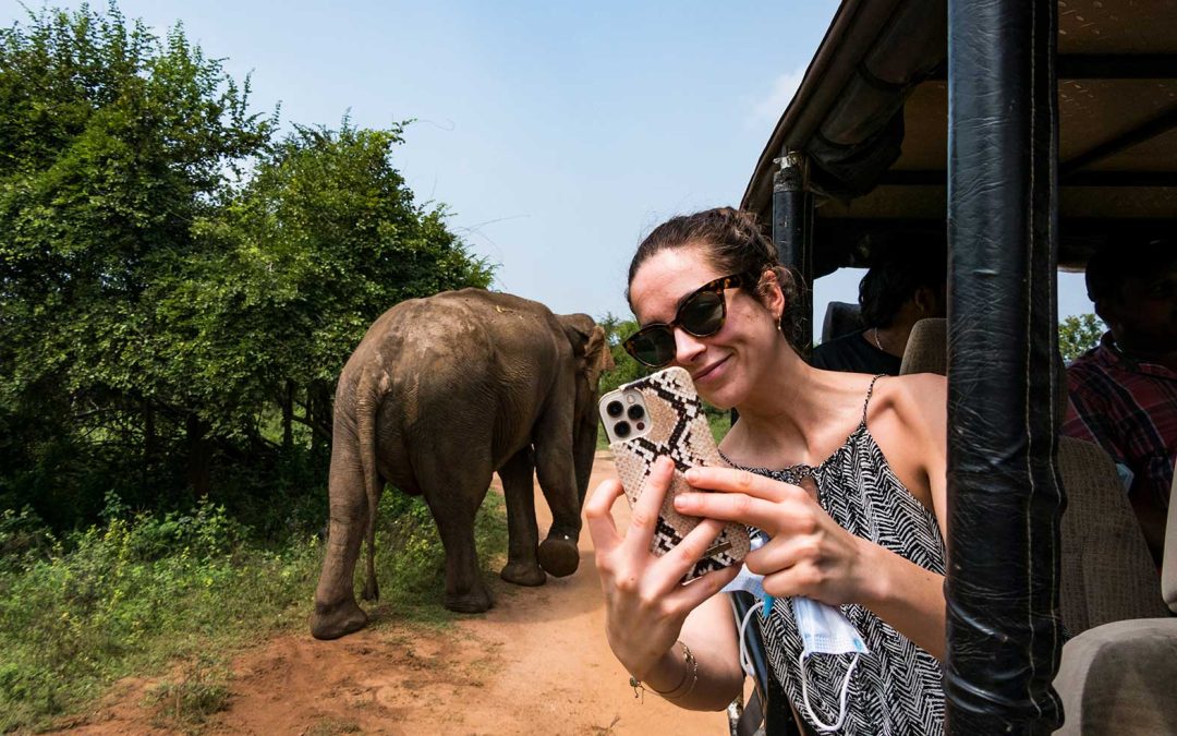Sri Lanka Scenic Highlands & Wildlife Tour