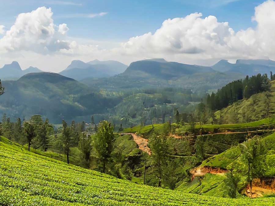 Nuwara Eliya